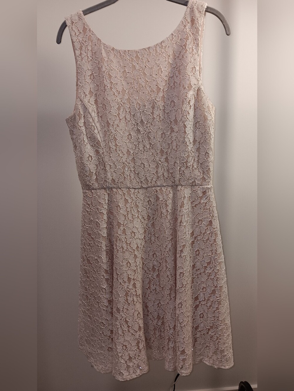 Speechless Lace Fit-and-Flare Dress in Blush Cream